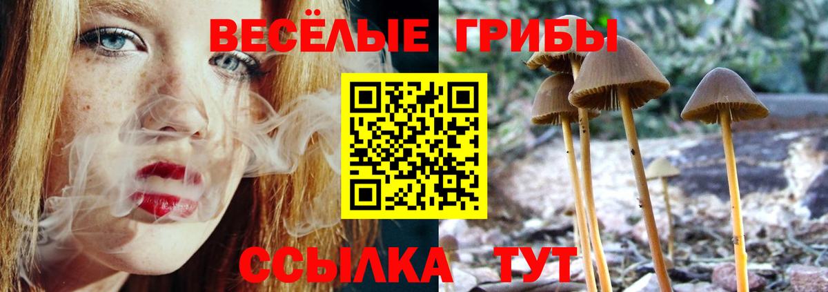 Зеленокумск  Галлюциногенные грибы Magic Shrooms  Галлюциногенные грибы Psilocybe  Вход с VPN 